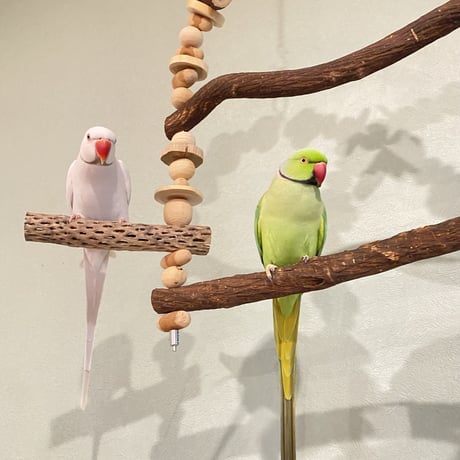 ポテトヘッドくんB　カスタムアスレチックブランコ【インコのおもちゃ・自然木のとまり木】