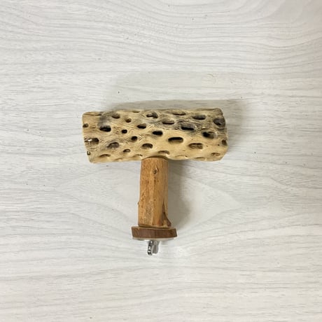 カクタスのT字パーチ 横10cm／足5cm