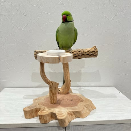 おやつ入れ付きカクタススタンドパーチ①