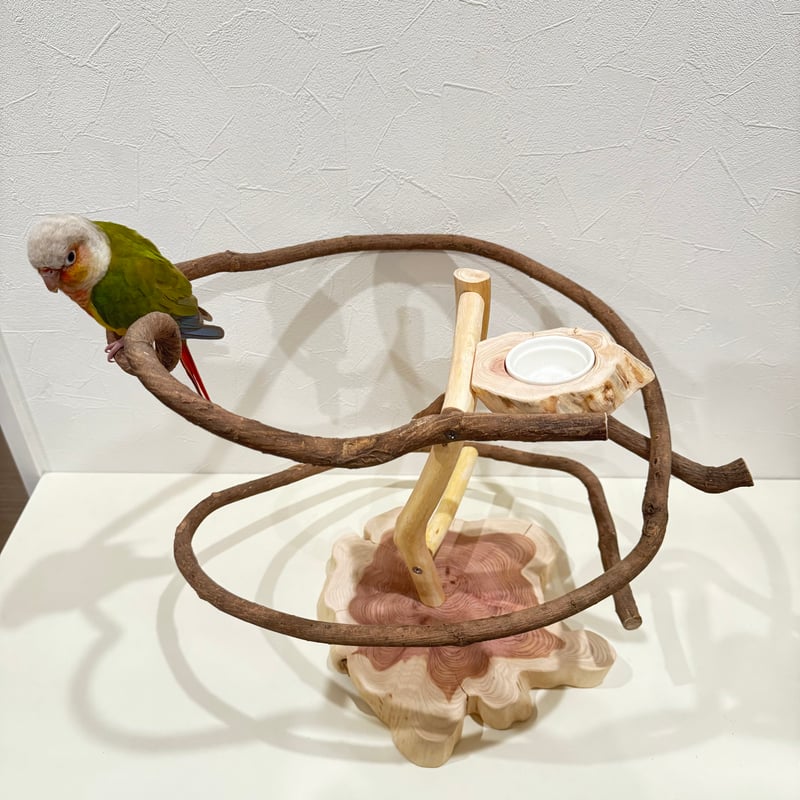中型インコ 鳥 止まり木 スタンド 楽天市場 止まり木スタンド インコの通販