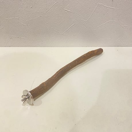 自然木（ツタ）パーチ 直径約1.5cm/長さ25cm