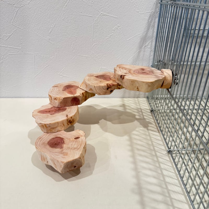 amincokame10様専用】貝塚伊吹の螺旋階段 【インコ 天然木 自然木