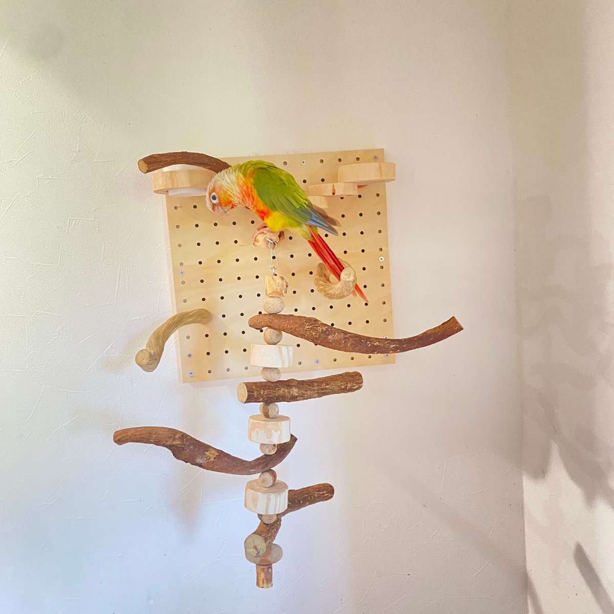 自由にカスタム 壁掛けバードアスレチック【A】【インコのおもちゃ