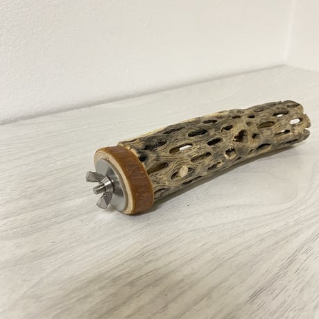 カクタスパーチ③ 小サイズ 直径（約3-4cm）長さ/14.5cm