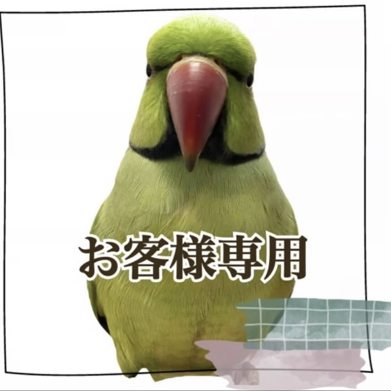 ぱーちん様専用 ごん様専用 猛禽類オーダーシェルフパーチ ごん 猛禽