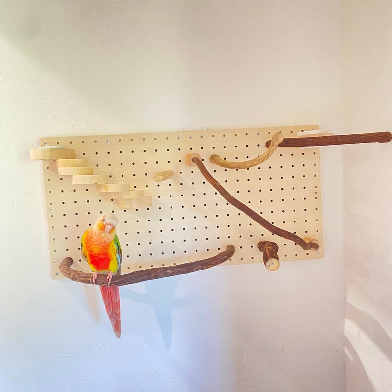 特別注文の品 バードアスレチック 特別注文の品 バードアスレチック