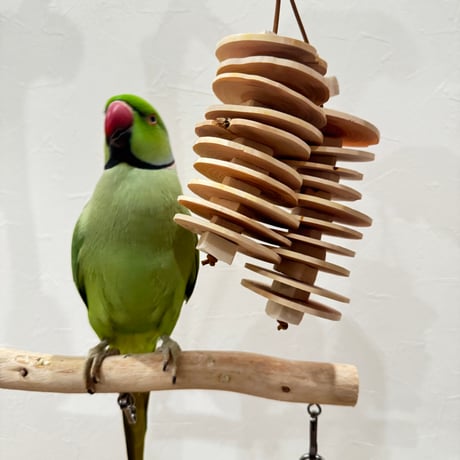 桧のミノムシちゃん【インコのおもちゃ ストレス発散 自然木 ガジガジ】