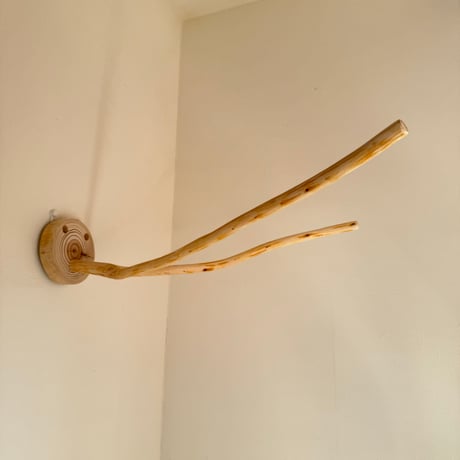 桧のピノキオの鼻 ⑥