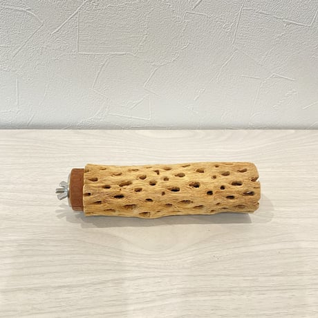 カクタスパーチ③ 中サイズ直径5.5cm/15cm