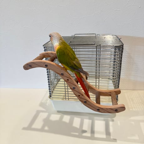 ウェーブラダー ハシゴ 【自然木の止まり木 インコのおもちゃ】