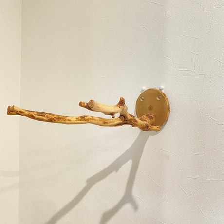ピノキオの鼻 ⑧