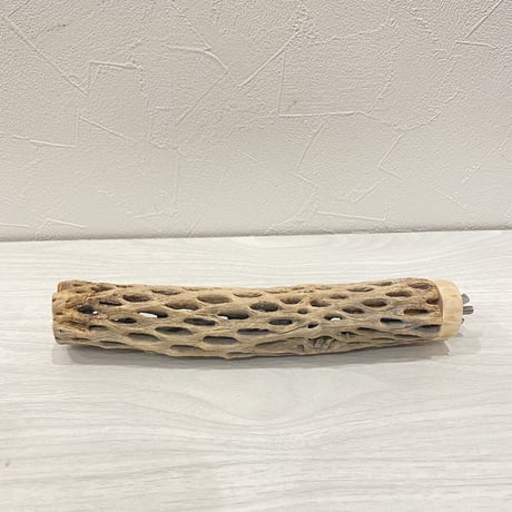 カクタスパーチ② 小直径約3.5cm/20cm