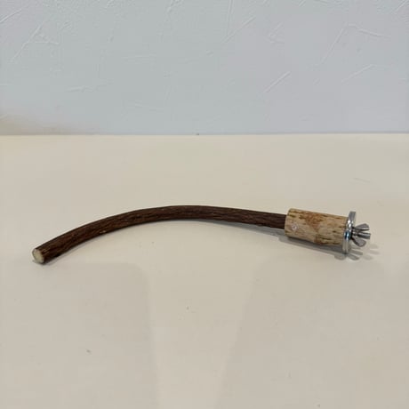 自然木（ツタ）パーチ 直径1.0cm/長さ20cm