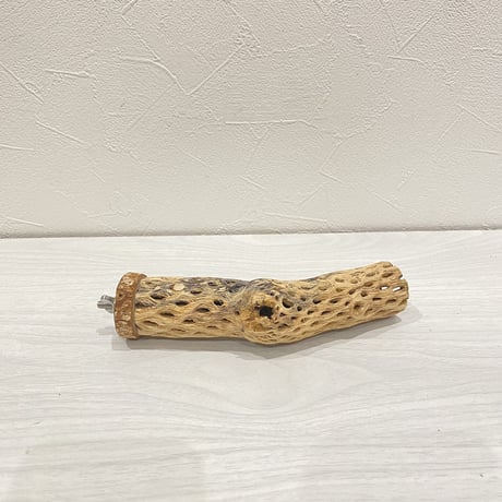 カクタスパーチ⑥  小 直径約4cm 長さ15cm