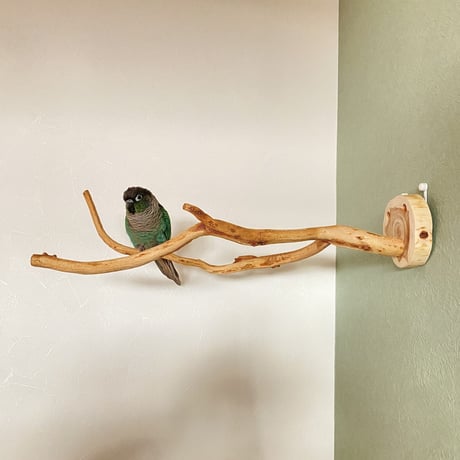 ピノキオの鼻⑤