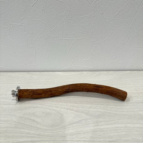 自然木（ツタ）パーチ⑥ 直径約1.7cm/長さ22cm