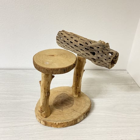 【K様専用】ピノキオの鼻 カクタススタンドパーチ