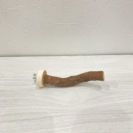自然木（ツタ）のパーチ⑨
