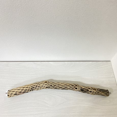 ケージサイズカクタスパーチ② 極小サイズ直径約2-3cm HOEI465サイズ
