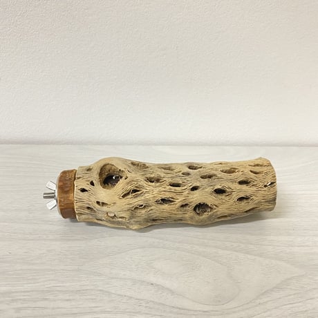 カクタスパーチ② 小サイズ 直径（約4cm）長さ/15cm