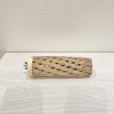 カクタスパーチ③  中 直径約5.5cm 長さ15cm