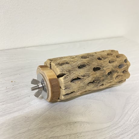 【中型・大型用】カクタスパーチ中⑦　直径5cm／長さ10cm