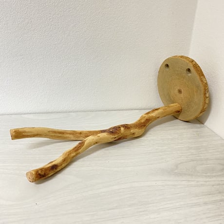 ピノキオの鼻 ②