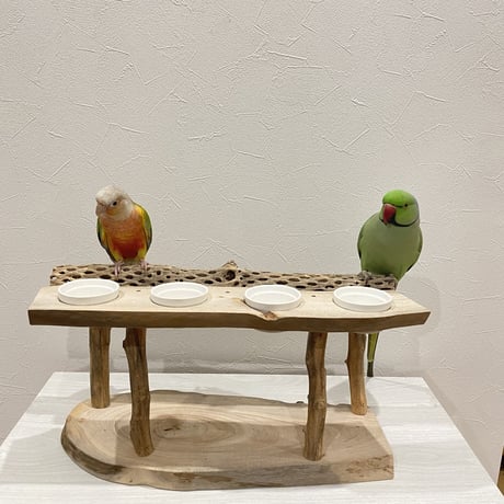 おしゅし屋さんカウンタースタンド