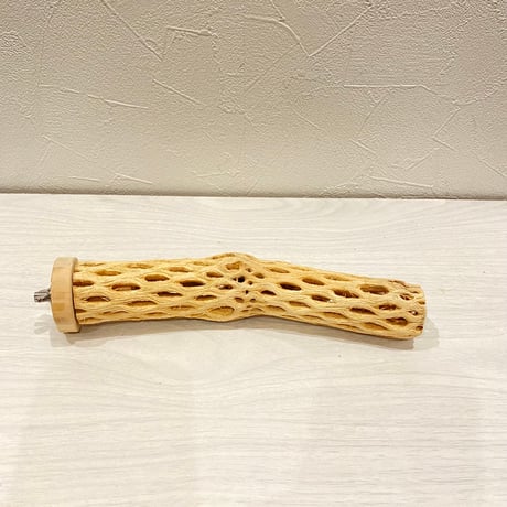 カクタスパーチ小直径3~4cm 長さ20cm ⑪