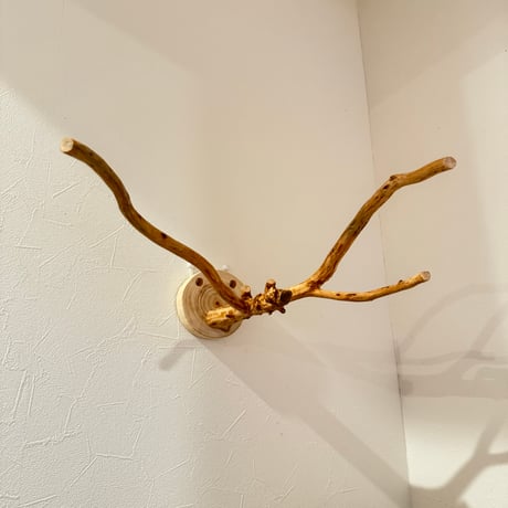 ピノキオの鼻 ①