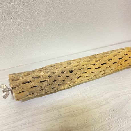 ケージサイズカクタスパーチ②  小直径3-4cm HOEI465サイズ