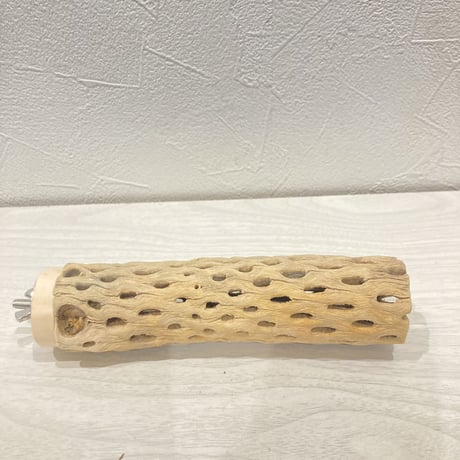 カクタスパーチ小⑰ 直径約3~4cm 長さ15cm