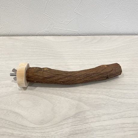 自然木（ツタ）パーチ⑤  直径2cm 長さ15cm