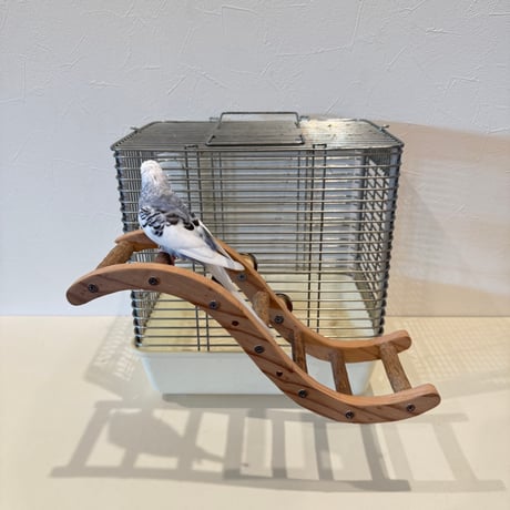 ウェーブラダー ハシゴ 【自然木の止まり木 インコのおもちゃ】