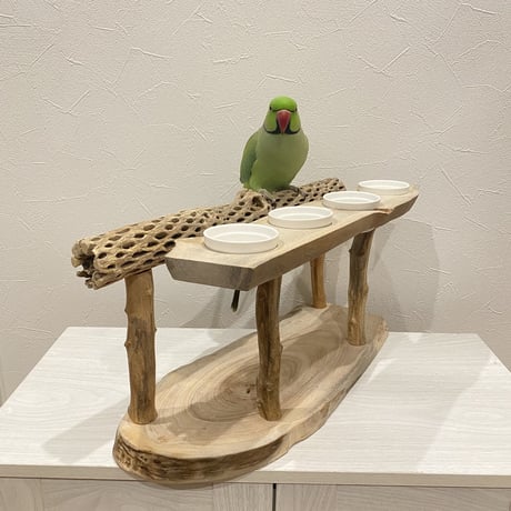 おしゅし屋さんカウンタースタンド