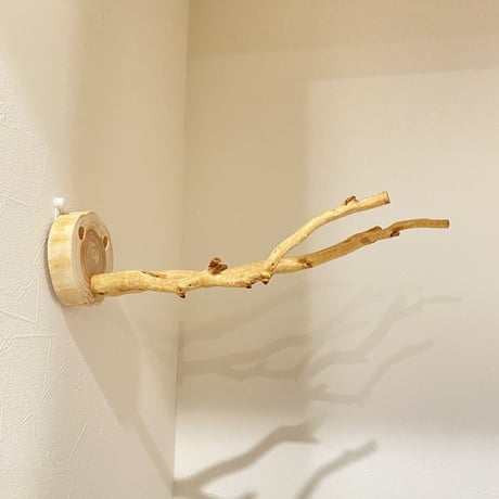 ピノキオの鼻 ④