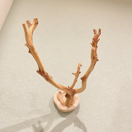 ピノキオの鼻 ⑩