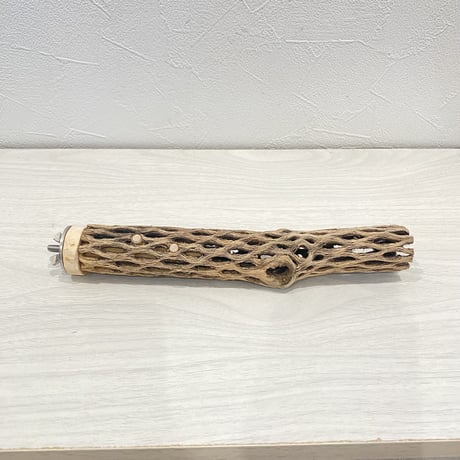 【I様専用】カクタスパーチ　極小20cm