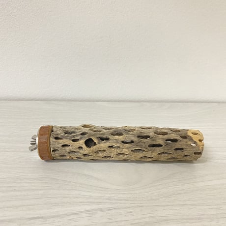 カクタスパーチ⑥ 極小サイズ 直径（約2-3cm）長さ/15cm