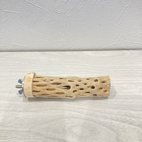 カクタスパーチ極小② 直径約2~3cm 長さ10cm