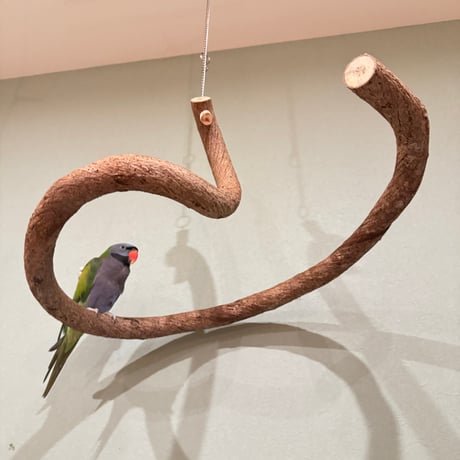 超でかいとぐろちゃんブランコ　【インコのおもちゃ 自然木】