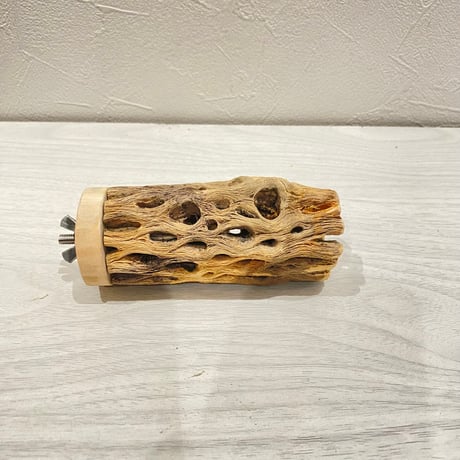 カクタスパーチ【6】直径4~5cm/長さ10cm
