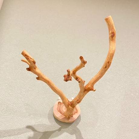 ピノキオの鼻 ③