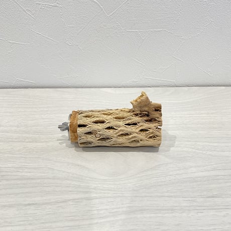 カクタスパーチ④ 小直径3.5cm 長さ9cm