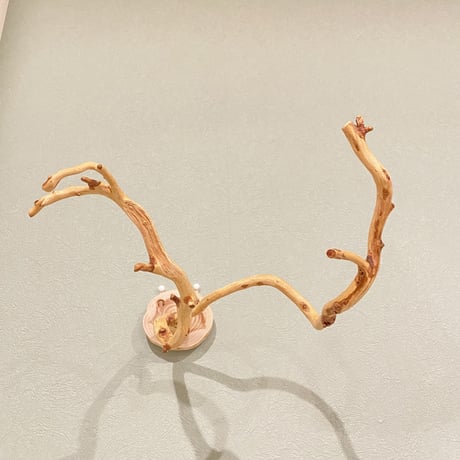 ピノキオの鼻 ②