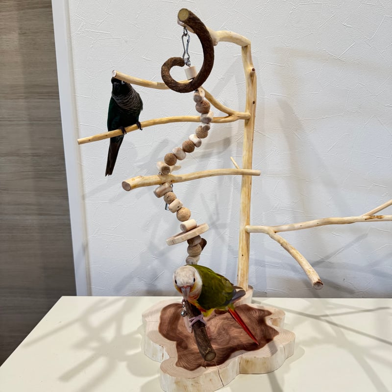ハンドメイド　小型インコ卓上アスレチック ハンドメイド 小型インコ卓上アスレチック ハンドメイド 小型インコ