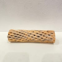 カクタスパーチ⑮ 直径約5cm/長さ20cm