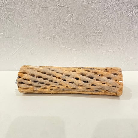 カクタスパーチ⑮ 直径約5cm/長さ20cm