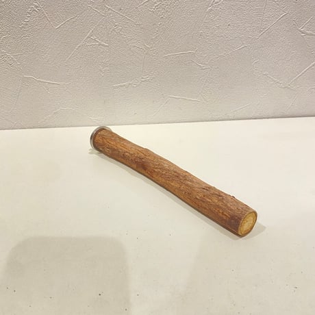 自然木（ツタ）パーチ⑧  直径約2.3cm/長さ20cm