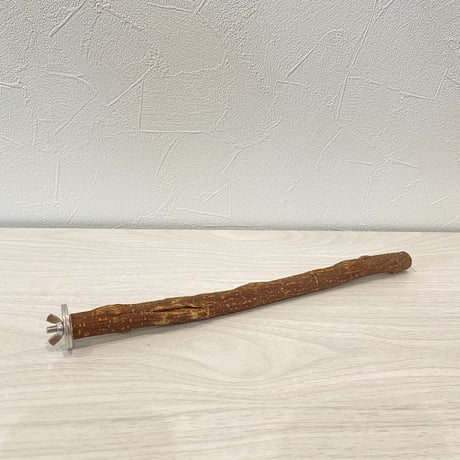 自然木（ツタ）のパーチ⑧　直径1.7cm 長さ29cm